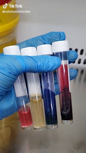 Biochemical Test: Methyl Red for Microbiologists