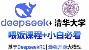 【B站最强Deepseek学习教程】最全最详细基础的DeepSeek零基础教程，从入门到精通，全程干货无废话，草履虫也能学会！！大模型|微调|LLM|AI大模型