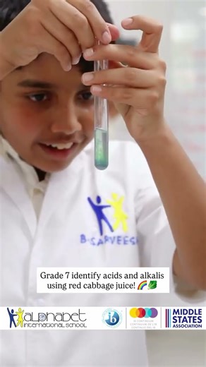Grade 7 test for acids and alkalis using red cabbage juice!