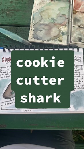 Exploring the Cookie Cutter Shark: Facts and Art