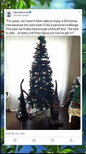 Christmas Tree Finally Secured 🎄 Genius Holiday Hack #ChristmasTreeHack #HolidayDIY