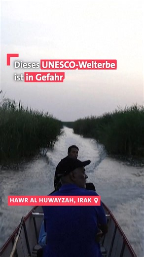 Die Huwaizah-Marschen zwischen Euphrat und Tigris sind eine der ältesten besiedelten Regionen der Welt und seit 2016 sowohl UNESCO-Weltnatur- als auch -Kulturerbe. Doch weil in dem Gebiet Erdöl gefunden wurde, plant die irakische Regierung nun ein riesiges Bohrfeld, welches die Natur und die Lebensweise der Menschen bedroht. Die Ma’dan, die seit 6.000 Jahren in der Region als Fischer und Viehzüchter leben, wollen das verhindern. #Irak #UNESCO #Öl #Natur #Geschichte | Weltspiegel
