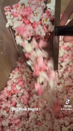 Dig Pink Volleyball night, popcorn made by Poppin’ on the Bricks and compliments of Hilltop Seeds! #CancerAwareness #BreastCancerAwareness #DigPink #popcorn #volleyball | Hilltop Seeds