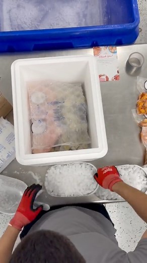 How to pack fresh AND frozen seafood in the same box 📦❄️ #seafood #packing #ship | Cameron's Seafood Online