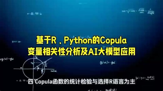 基于R、Python的Copula变量相关性分析及AI大模型应用