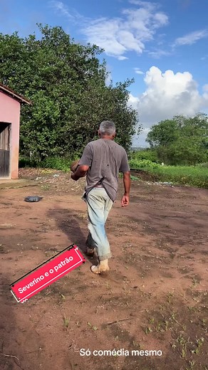 Molho de Coco: Briga por Fruta no Trabalho