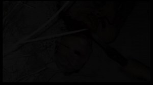 102 - Gore-Witch Project