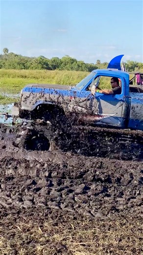 7.1K views · 126 reactions | There ARE Mud Sharks in the Florida Swamps #offroad #mudslinging #mudbog #truck | Penny E Martin Photography | Facebook