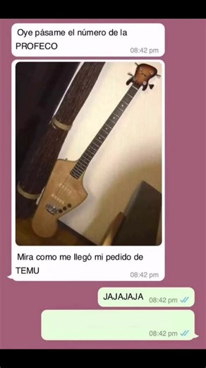 Ian Meléndez on Instagram: "No pidan instrumentos de Temu JAJAJAJAJ😿🎸 Es publicidad engañosa #humor #guitartok #basstok #temu #velouria #meme #bass #rock #metal #parati"