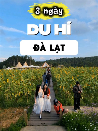 Review du lịch Đà Lạt 3 ngày 2 đêm: lịch trình & điểm đến hot