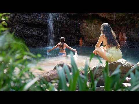 Midsummer Traditions in the Rainforest