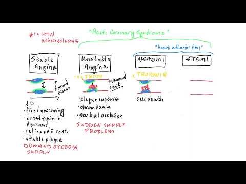 Anti-Anginal Medications and Oxygen Supply and Demand