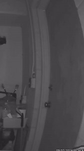 1.6K views | Trespasser Caught Snooping in Parking Garage | Security...