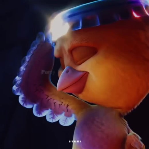 Rio Song Celebration: Fly Like a Rocket