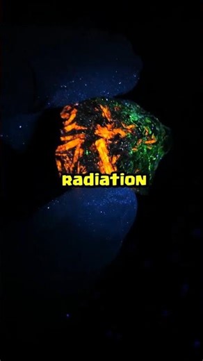 Forms of Nuclear Radiation! #reelschallenge