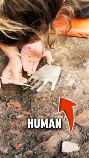 2,000-Year-Old “Hand of Irulegi” May Rewrite the History of Basque Language