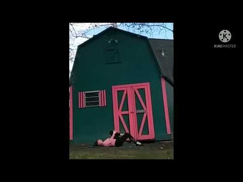 Barnyard Yoga