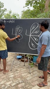 83K views · 507 reactions | How to draw a Peacock 連 and Dog  step by step for beginners Easy drawing | AP Drawing | Facebook