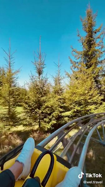 Discover the Charm of Bob Alpin Toplița and Harghita