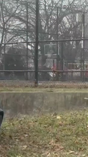 NYC Scoop on Instagram: "Bronx: Bronx River Parkway @ Westchester Avenue, an @nypd detective saves a choking baby while heading to work during rush hour traffic. Detective First Grade Michael Greaney spotted a black SUV speeding down the shoulder lane on Wednesday, and pulled him over with his unmarked car. The driver rolled the window down and told him, “My baby’s choking.” Detective Greaney pulled the baby out of the car and started hitting her on the back until her airway cleared and she star