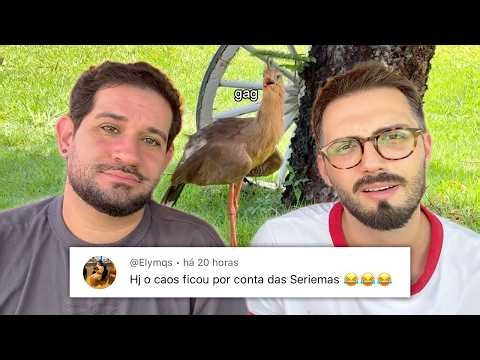 AO VIVO - HOJE AS SERIEMAS DERAM UM SHOW