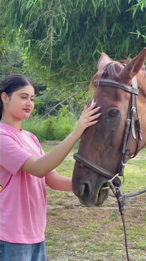 Sharp Shooter 💪 Masoom sharma #song #punjabisong #haryanvisong #newsong #music #masoomsharma #reels