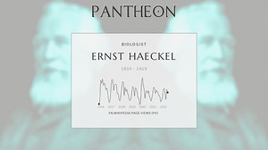 Ernst Haeckel Biography | Pantheon