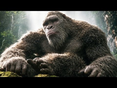 Kay Huva Jab Sote Huve Gorilla Jag Gaya| Godzilla vs kong Movie Explained In Hindi/Urdu