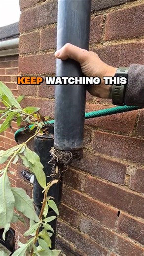 Watch What I Pull Out of This Downpipe!