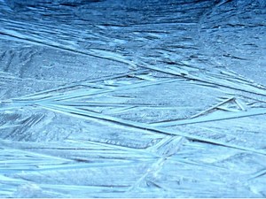 Gusty Winds and Frigid Temps Expected in Los Gatos Tonight