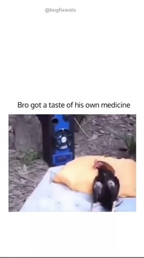 bro got cooked #memes #yt