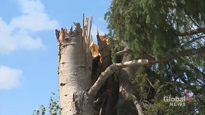 Cleanup begins following storm at northern Saskatchewan campground