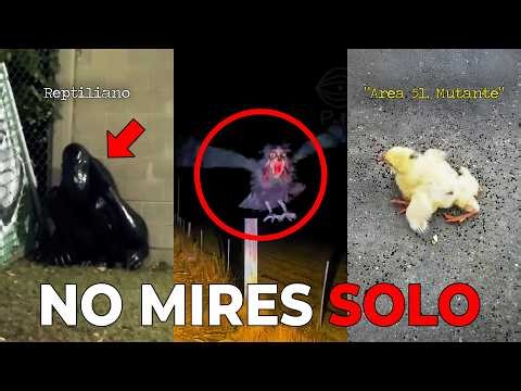 The Most Chilling Horror Videos of the Year | JANUARY - JUNE 2026