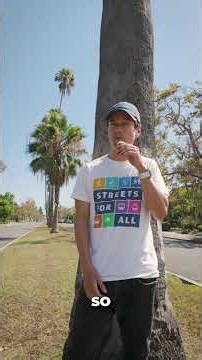 Are Palm Trees in Los Angeles a scam?