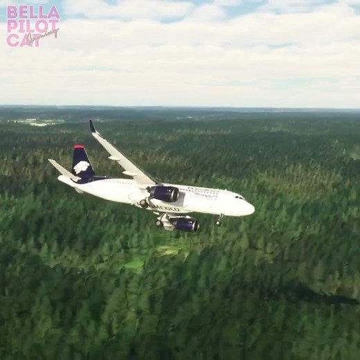 This flight simulator is TOO realistic #aviation #simulator