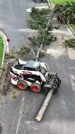 Tree Through Roof — Crane Extraction Done Right | Georgia Pro Tree Services