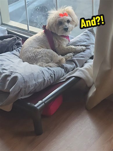 Daily Step Goal: 12,000 Steps