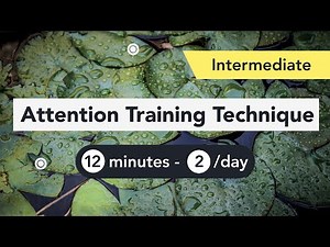 Attention Training Technique (ATT) in Metacognitive Therapy. (Intermediate 7)