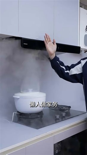 老板（Robam）油烟机E2S品质款E2P/E2 家用抽吸油烟机28风量1380Pa静压烟灶联动D2灶双腔顶吸变频大吸力66D5-E2 【E2P单烟机】28