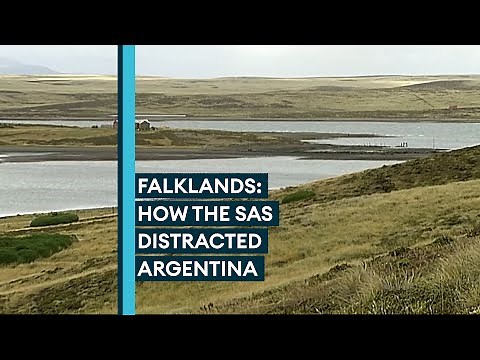 How the SAS used Stinger missiles to divert Argentina in the Falklands