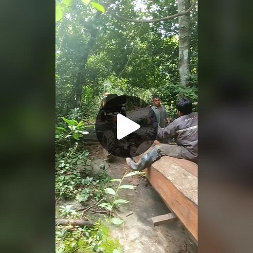 Motorized Log Skidder Operations in Lush Forest