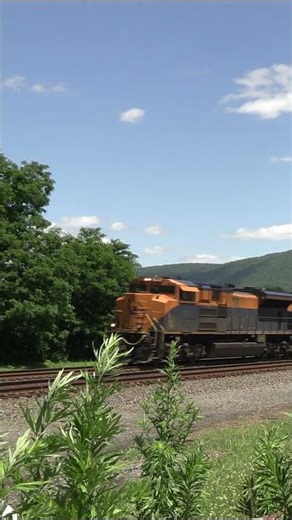 Central Railroad of NJ Heritage Unit 1071 Leads 29G
