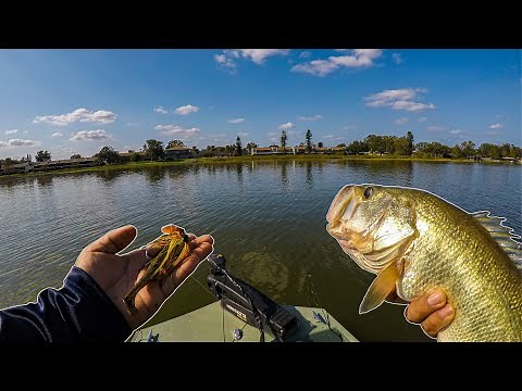Fishing a Grassy Lake In Central Florida, Bass Fishing at The Chain of Lakes (Winter Haven, FL)