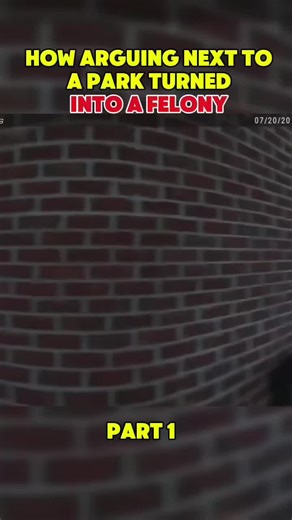 HOW ARGUING NEXT TO A PARK TURNED INTO A FELONY #police #criminal #cops #crime