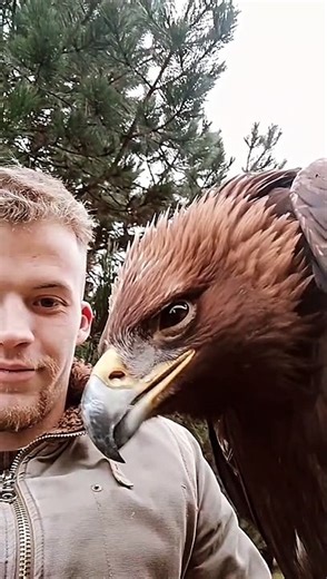 Golden Eagle Calls to the Camera
