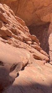 561 reactions · 44 shares | Your Adventure Awaits! | Southern Utah Scenic Tours | Facebook