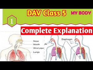 My Body|DAV Class 5 Science Chapter 1 Explanation|Study With Deep|@CollectionOfStudy|