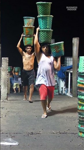 The market for #acai is set to reach $2.1 billion dollars by the end of 2025. #fruit #agriculture