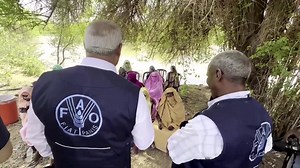 6.6K views · 29 reactions | The UN’s Food and Agriculture Organization launched a seed distribution in Sudan's Red Sea State, targeting farmers, fishermen, and shepherds to combat food insecurity amid conflict, climate change, floods, and rising cholera. | Reuters | Facebook