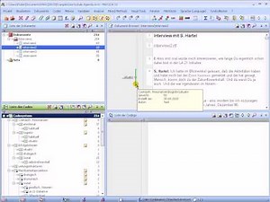 [2011] MAXQDA 10 und MAXQDA 11: Visualisierung von codierten Segmenten